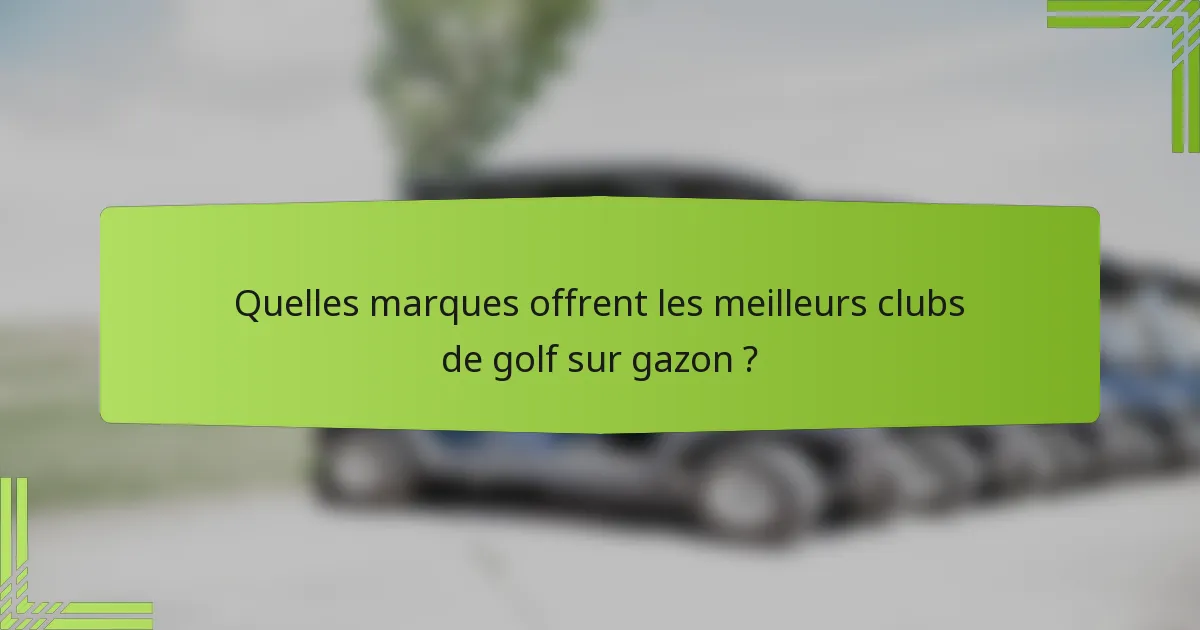 Quelles marques offrent les meilleurs clubs de golf sur gazon ?